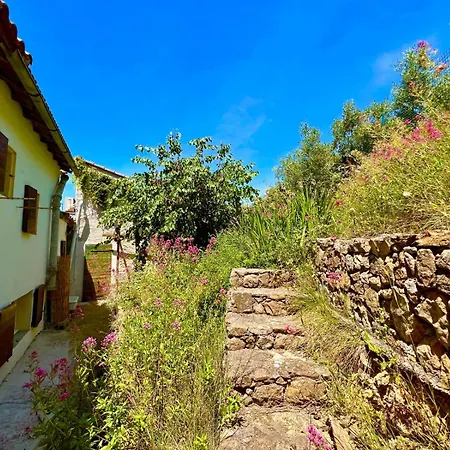 Apartmán Mas Provencal Vue A 5 Min De La Et Jacuzzi *